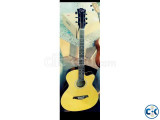 TGM Acoustic Guitar