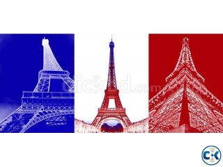 France Contact visa