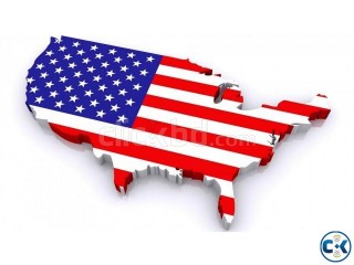 100 USA Multiple visa