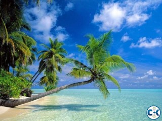 100 GUARANTEE MALDIVE OMAN HOTEL JOB VISA