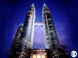 Malaysia Professional Work Visa DP-10