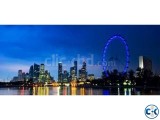 Singapore professional visa