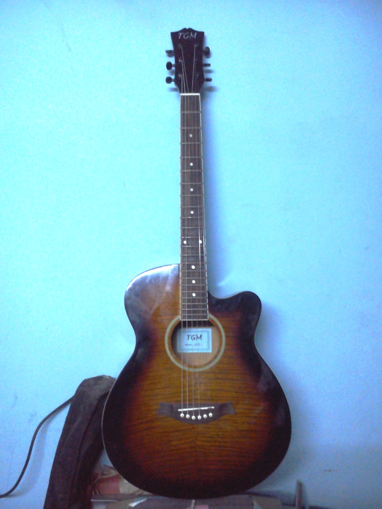 TGM Accoustic Guiter Only 3 Months Used  large image 0