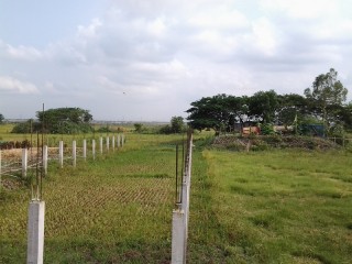 Attactive Land Plot In Sakatkul Badda At Low Price