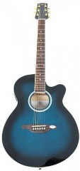 SX Semi-Professional Acoustic Guitar Respond urgently 