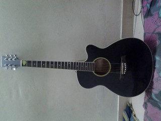 acoustic guitar