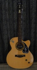 Givson Acoustic Guiter with cover and extra strings