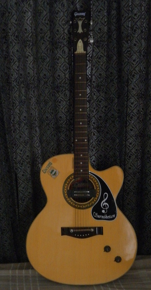 Givson Acoustic Guiter with cover and extra strings large image 0