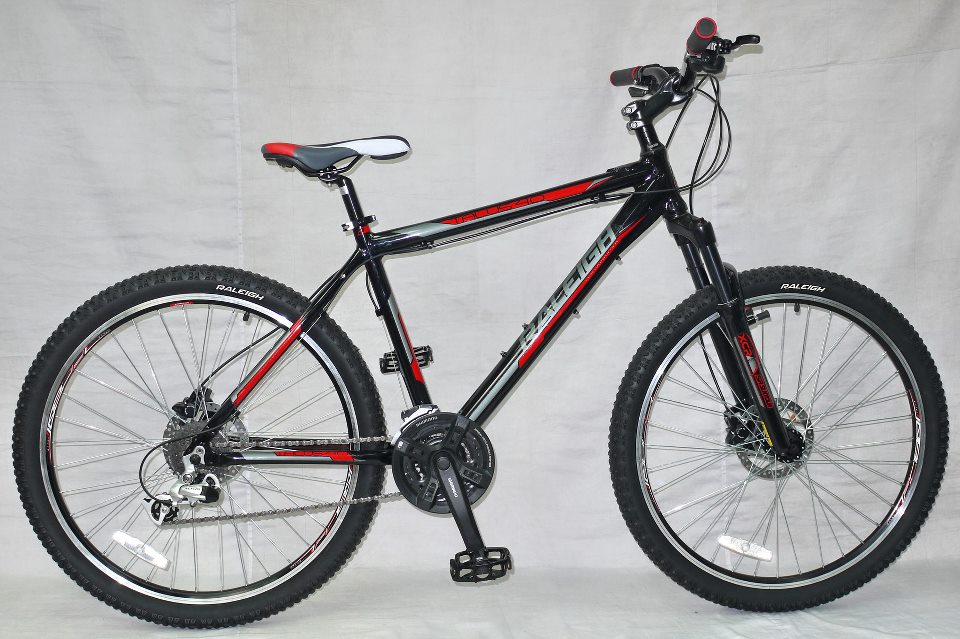 RALEIGH TALUS 4.0 large image 0