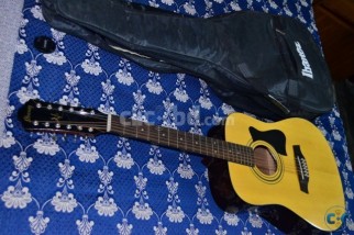 Ibanez 12 String Acoustic Guitar