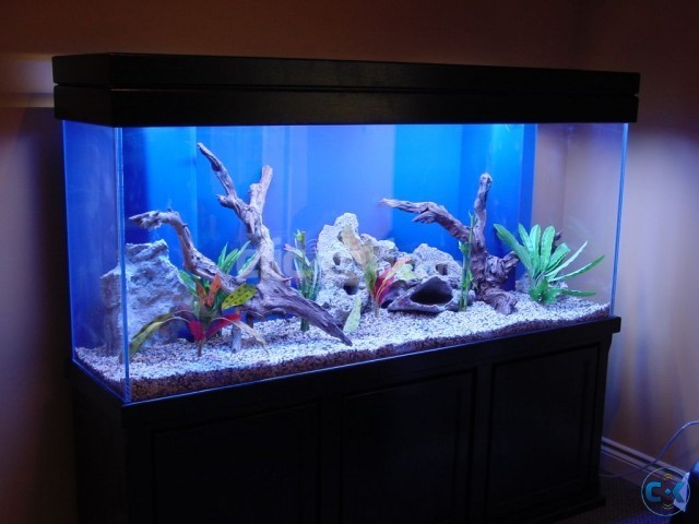 6 FEET 2.5 FEET 3 FEET ALMOST NEW AQUARIUM CALL 0194122220 large image 0