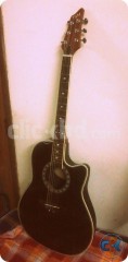 TGM RB 30 guitar with equalizer