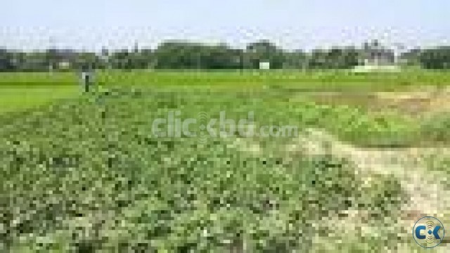 LAND SALE NEAR UTTARA large image 0