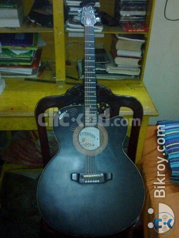 Signature Topaz. Acoustic guitar for sale.. large image 0