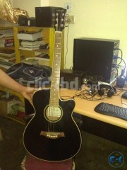 Anisha acoustic guitar for sale