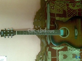 TGM Acoustic Guitar