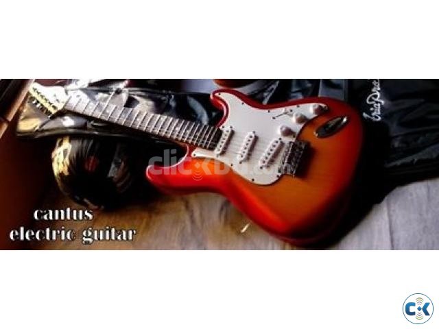 CANTUS electric guitar sale  large image 0