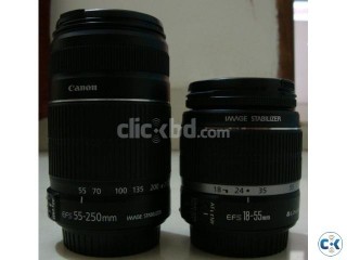 Canon 55-250mm and Canon 18-55 mm lens