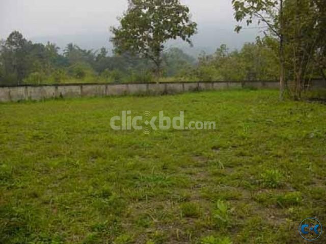 Need Land for Agro - Rent or Lease large image 0