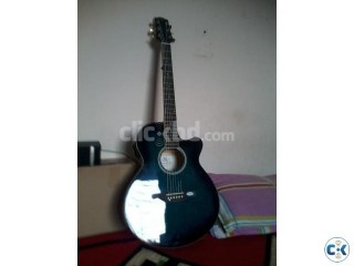 SX acoustic Guitar