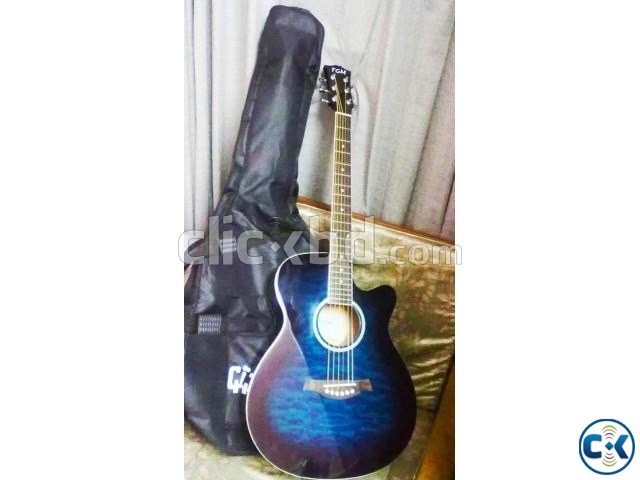 A New TGM Acoustic Guitar large image 0