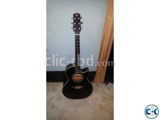 Sx Semi Acoustic Guitar