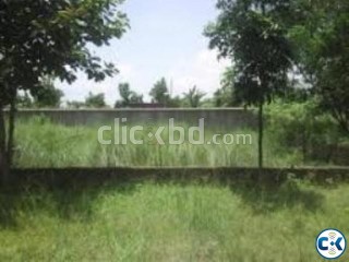 5 Katha Plot For Sale at M Block Bashundhara RA