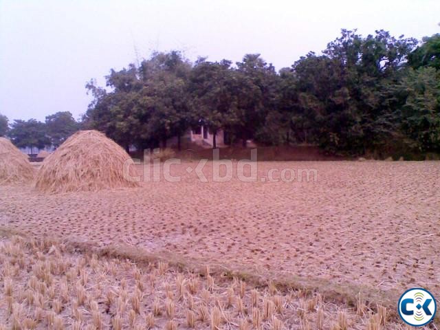 3 Katha Land nearGazipur Medical College large image 0