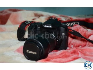 CANON 50D with 55-250mm IS 18-55mm IS Lens