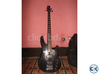 Bass Guitar