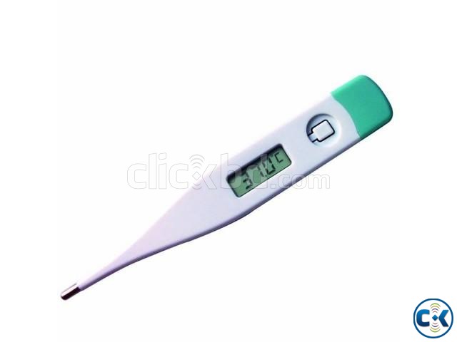 Digital Thermometer large image 0