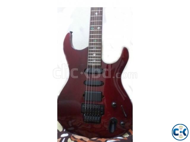 Floyd rose large image 0