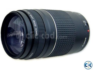 Canon EF 75-300mm f 4-5.6 III Lens