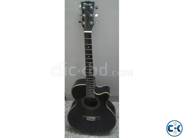 Floda semi Electric guitar large image 0