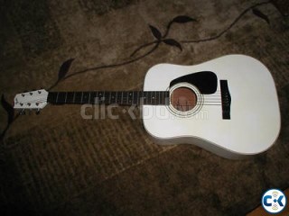 Washburn Custom Acoustic Guitar NEW