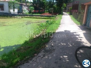 10 shotok land for sale in bogra