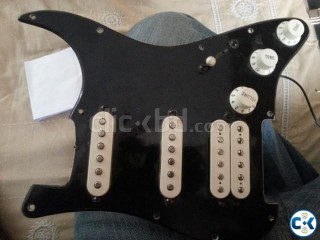 Fender Stratocaster MIM loaded pick guard