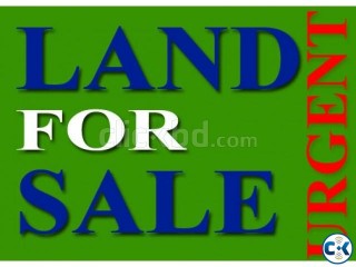 Urgent Land for Sale Mymensingh