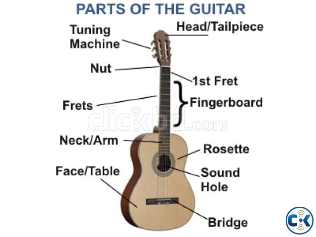 Learn to play online guitar at home