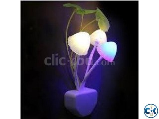 Colorful Changing LED Night Light