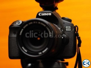 Canon EOS 60D body with 18-55 lens