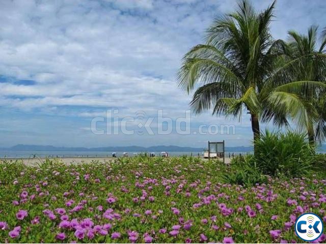 100 Decimal land at Saint Martin with beach URGENT Sell large image 0