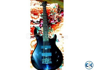 5 strings bass guitar