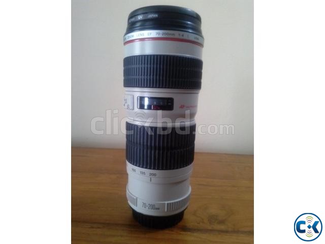 Canon EF 70-200mm Lens large image 0