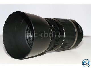 Canon EF55-250mm Lens.