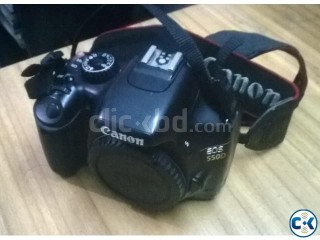 Canon EOS 550D with 80-200 mm lens