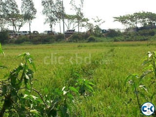 Land Beside Konapara-Jatrabari-staff ROAD