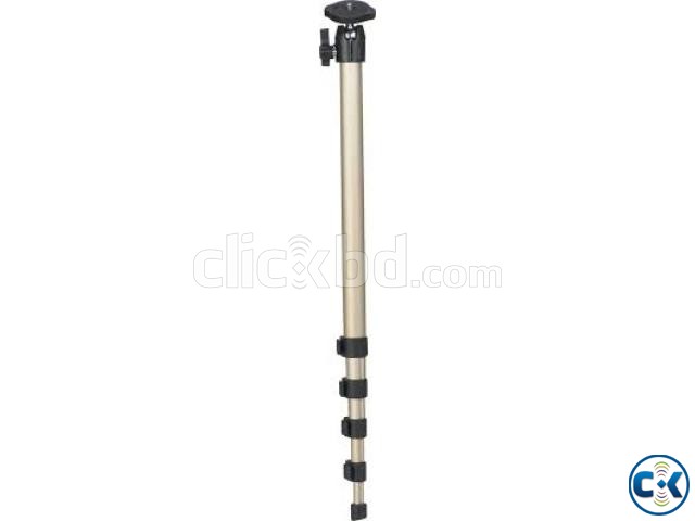 SIMPEX monopod 1212 . ELECTRIC DREAM large image 0