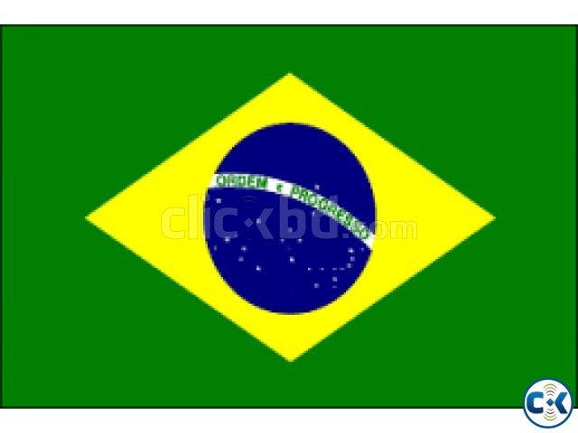 Urgent Visa in Brazil large image 0