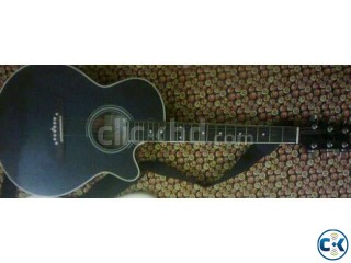 SX custom acoustic guitar EAG